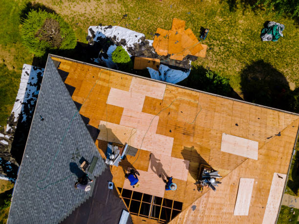 Roof Gutter Cleaning in Streamwood, IL